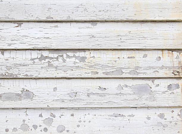 Best Dumpster Rental Services  in Johnston, SC